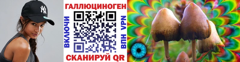 Псилоцибиновые грибы прущие грибы  Ивантеевка 